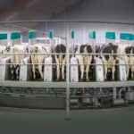 0223_Allgemein_90-90 Perspektive Karussell_maskiert.tif